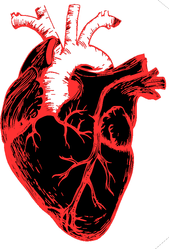 heart